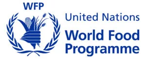 United Nations: “We could replace the services offered by banks with blockchain.”