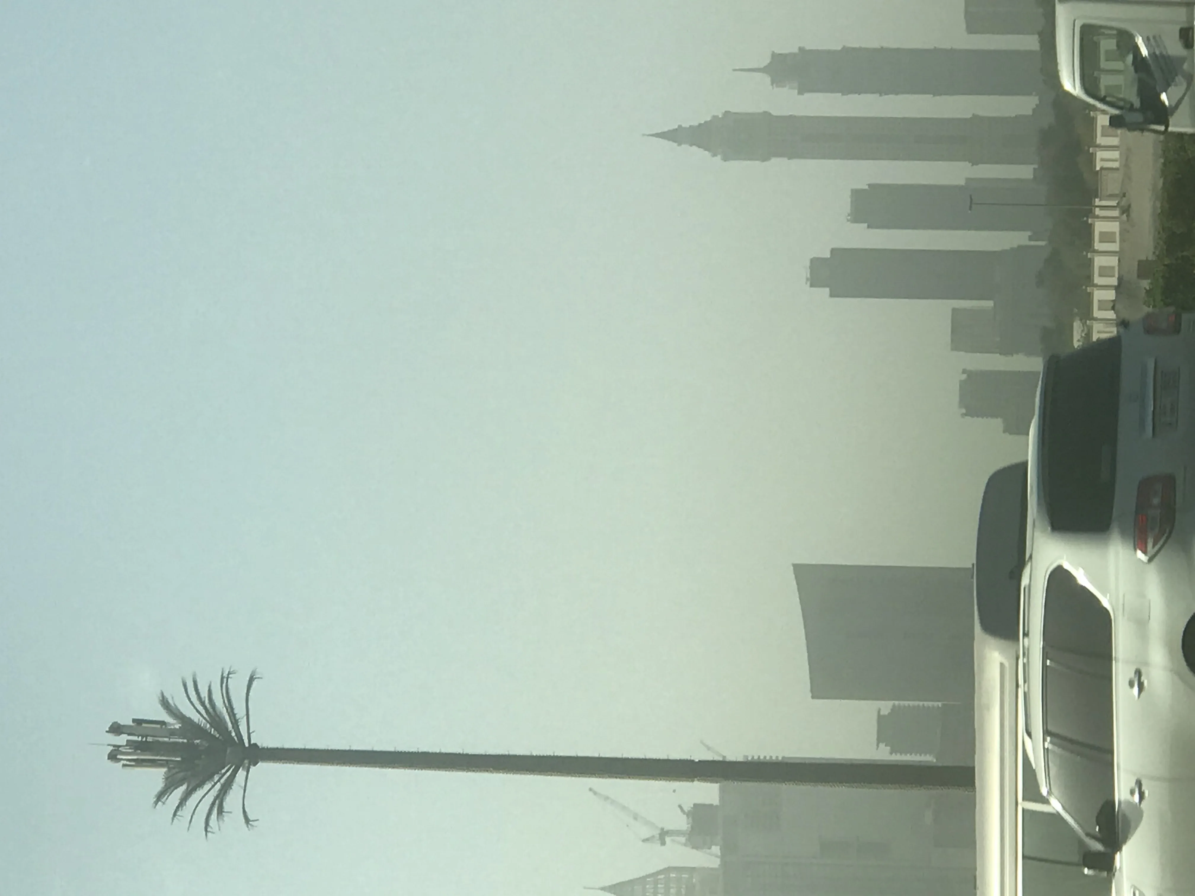 Palm Antenna