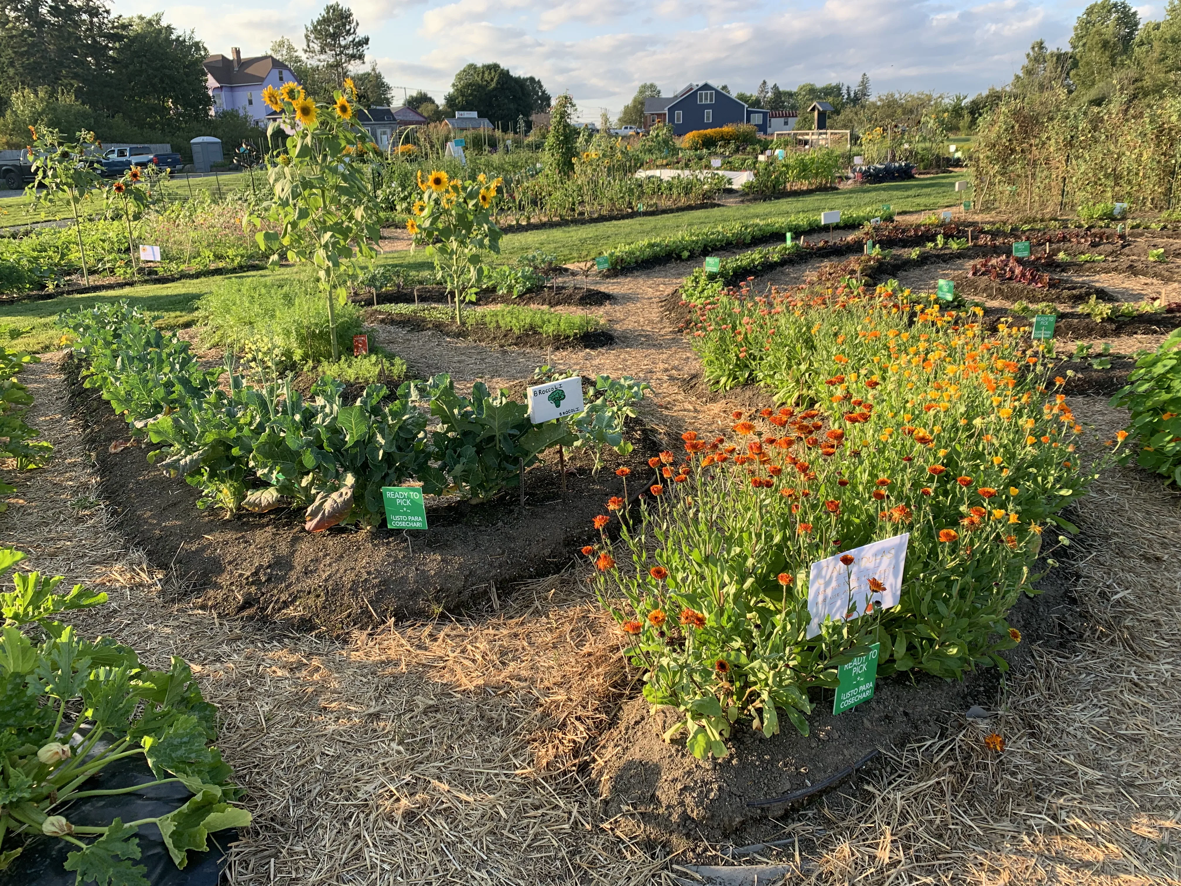 Milbridge Commons