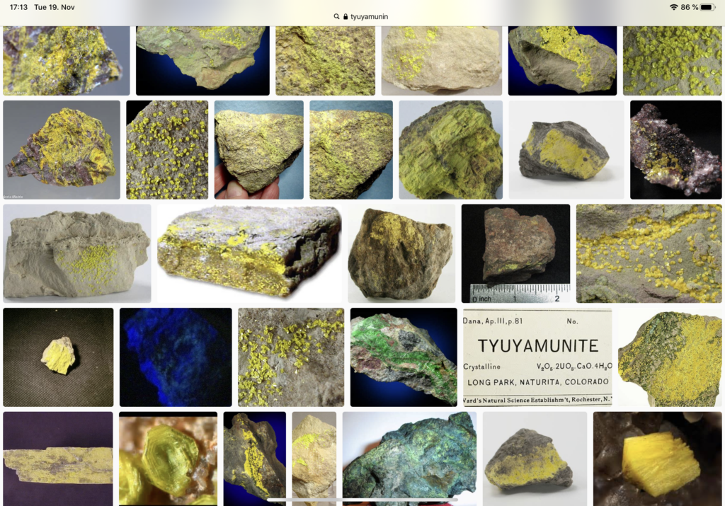Results of an image search on Tyuyamunite - the uranium mineral which gave Tyuya its colors 