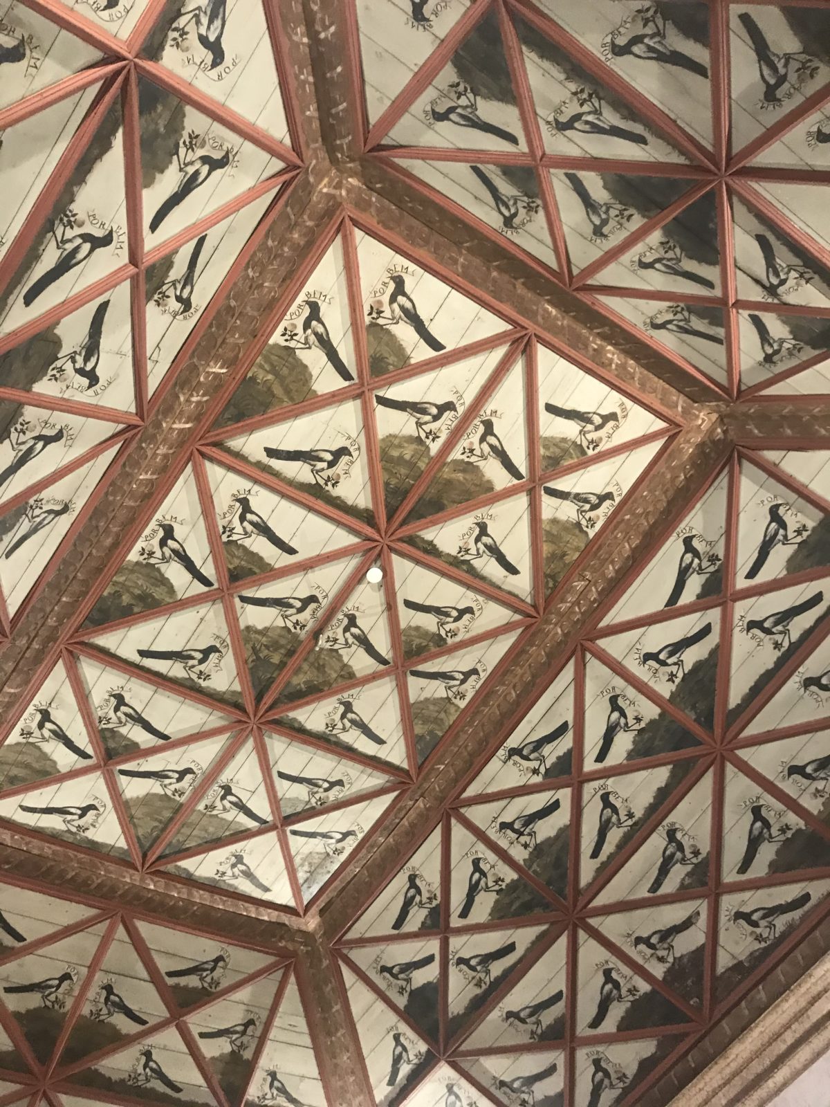 Ceiling with magpies